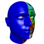 تنزيل-تطبيق-d3d-sculptor-3d-modeling-مهكر-للاندرويد.webp