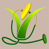تنزيل-تطبيق-rice-doctor-مهكر-للاندرويد.webp