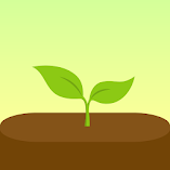تنزيل-تطبيق-حافظ-على-تركیزك-forest-مهكر-للا.webp