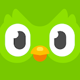 تنزيل-تطبيق-دوولينجو-تعليم-اللغات-مهك.webp