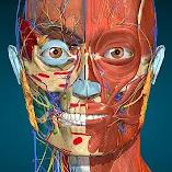 تطبيق-anatomy-learning-3d-anatomy-مهكر.webp