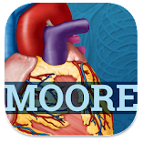 تطبيق-usmle-clinical-anatomy-مهكر.webp