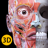 تطبيق-anatomy-3d-atlas-مهكر.webp
