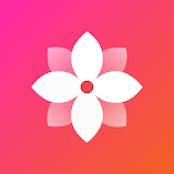 تطبيق-gallery-simple-and-fast-مهكر.webp