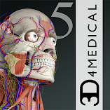 تطبيق-essential-anatomy-5-مهكر.webp