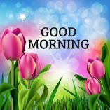 تطبيق-good-morning-images-app-مهكر.webp