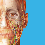 تطبيق-human-anatomy-atlas-2025-مهكر.webp
