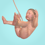 تنزيل-لعبة-idle-9-months.webp