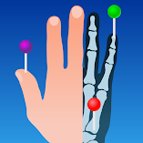 تطبيق-e-anatomy-مهكر.webp