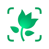 تطبيق-picturethis-plant-identifier-مهكر.webp