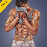 تنزيل-تطبيق-fitolympia-pro-gym-workouts.webp
