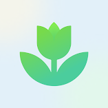 تنزيل-تطبيق-plant-app-plant-identifier.webp