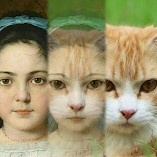 تنزيل-تطبيق-zooface-gif-animal-morph.webp