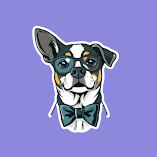 تنزيل-تطبيق-sticker-spark.webp