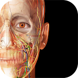 تطبيق-visible-body-suite-مهكر.webp