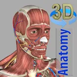 تطبيق-3d-anatomy-مهكر.webp