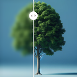تنزيل-تطبيق-enhance-it-أصلح-صورك.webp