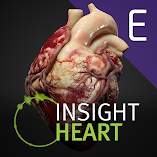 تنزيل-تطبيق-insight-heart-enterprise.webp