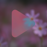 تنزيل-تطبيق-live-wallpapers-realme-c73.webp