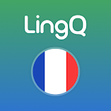 تطبيق-learn-french-lingq-مهكر.webp