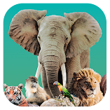 تنزيل-لعبة-ark-nova.webp