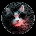 تطبيق-string-art-maker-pro-مهكر.webp