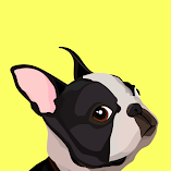 تنزيل-تطبيق-everydoggy-تدريب-الكلاب.webp