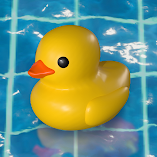 تنزيل-لعبة-placid-plastic-duck-simulator.webp