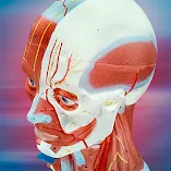 تطبيق-3b-smart-anatomy-مهكر.webp