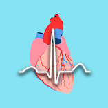 تطبيق-dr-ecg-مهكر.webp