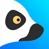تنزيل-تطبيق-lemur-browser-extensions.webp