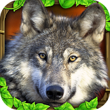 لعبة-wildlife-simulator-wolf-مهكرة.webp