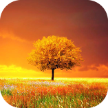 تطبيق-awesome-land-pro-livewallpaper-مهكر.webp