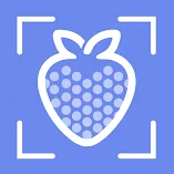تطبيق-calory-ai-food-scanner-مهكر.webp