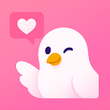 تطبيق-hotx-live-video-chat-مهكر.webp