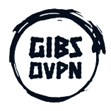 تنزيل-تطبيق-gibs-ovpn.webp