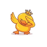 تنزيل-تطبيق-كتكوتي-katkoty.webp