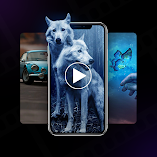 تنزيل-تطبيق-video-live-wallpapers-maker.webp