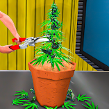 لعبة-weed-farm-hempire-bud-tycoon-مهكرة.webp