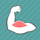 تطبيق-e-learning-muscles-puzzle-مهكر.webp