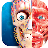 تطبيق-virtual-reality-human-body-مهكر.webp