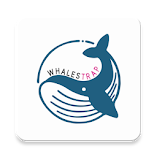 تطبيق-whalestrap-crypto-indicator-مهكر.webp