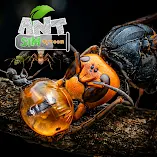 تنزيل-لعبة-ant-sim-tycoon.webp